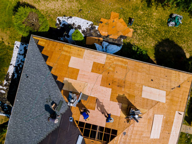 Best Roof Gutter Cleaning  in Rogersville, AL