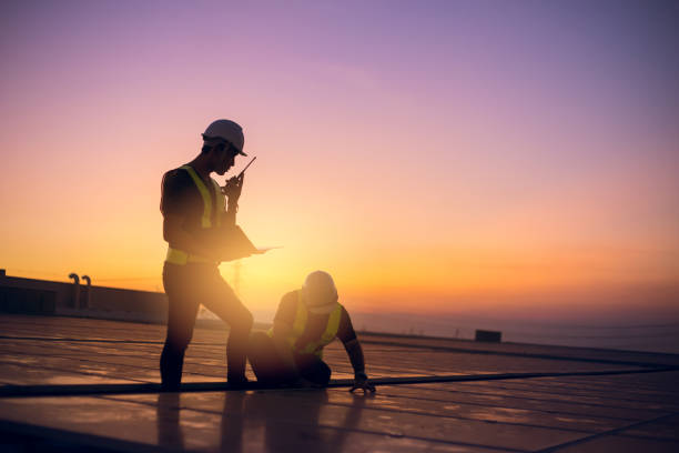 Roof Gutter Cleaning in Rogersville, AL