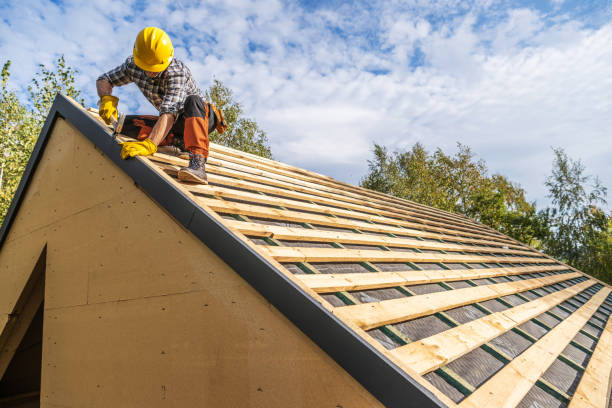 Best Roof Gutter Cleaning  in Rogersville, AL