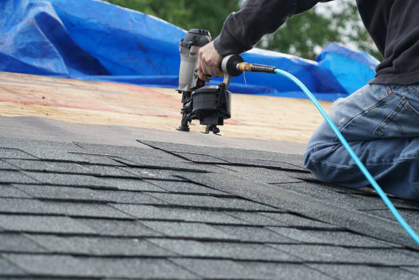 Best Roof Replacement Cost  in Rogersville, AL