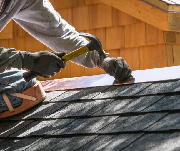 Best Roof Leak Repair  in Rogersville, AL